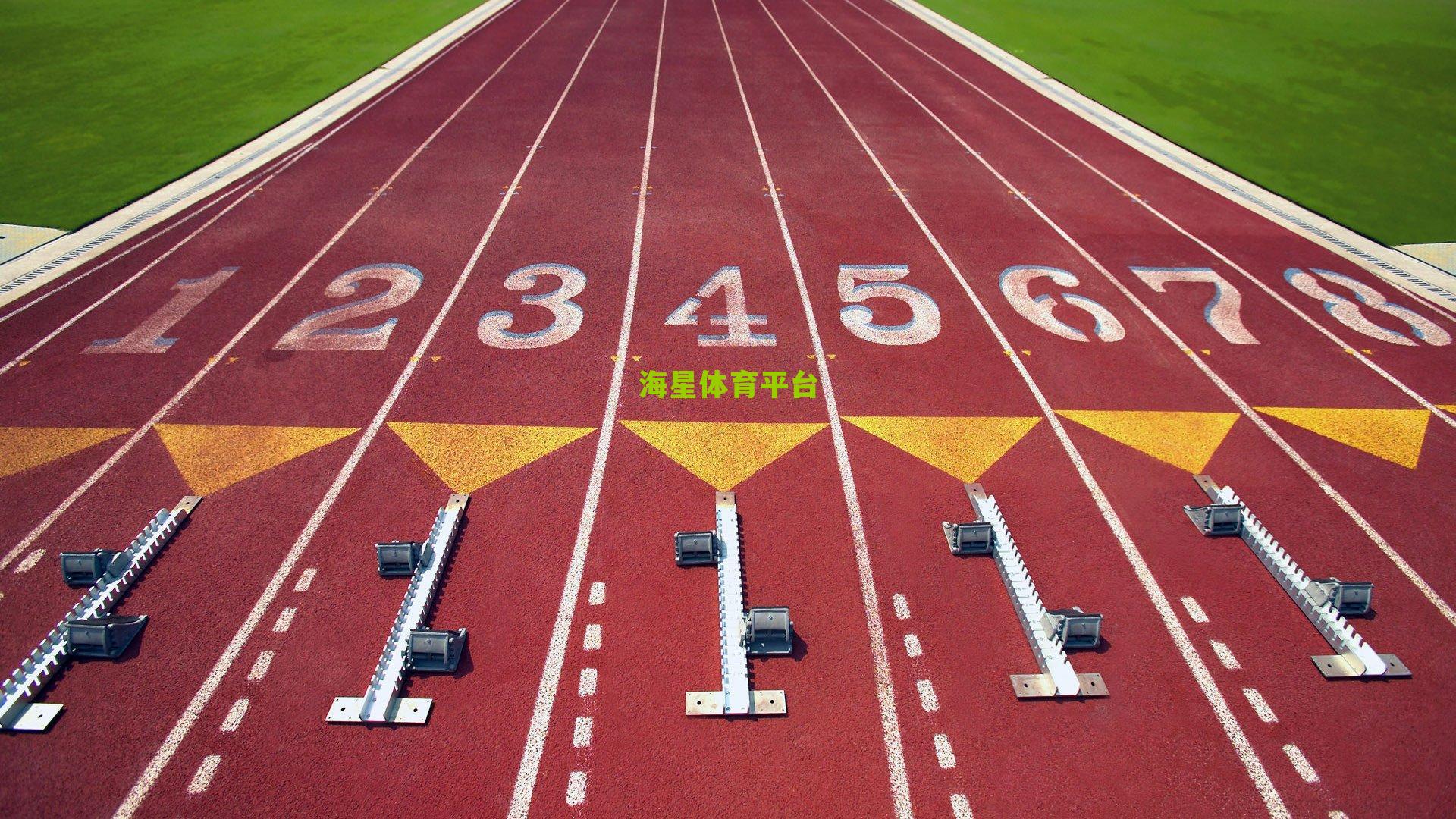 纽卡斯尔联队重磅出击,7200万至7400万欧元报价新星谢什科,曼联加入争夺战