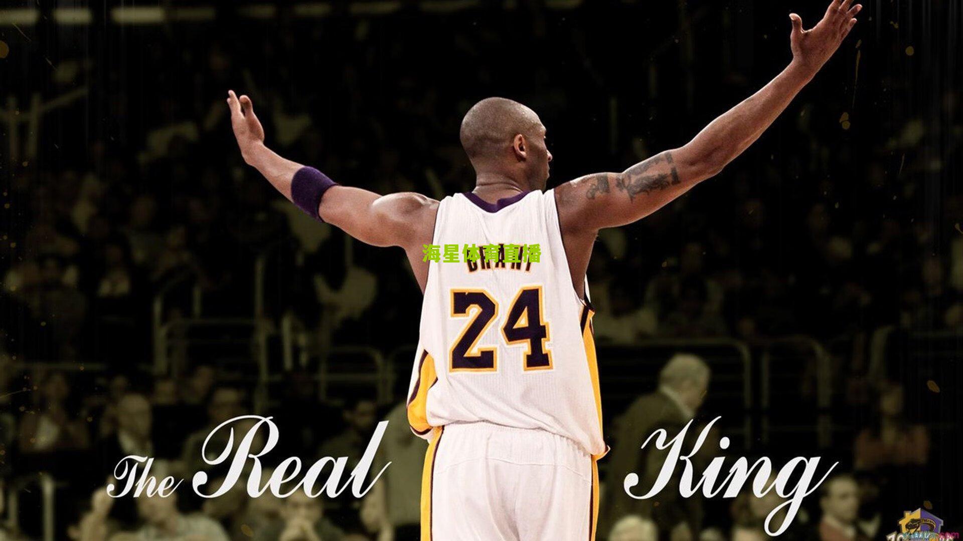 卡特,我做大哥好多年!加拿大飞人从扣篮传奇到NBA老兵的精神传承