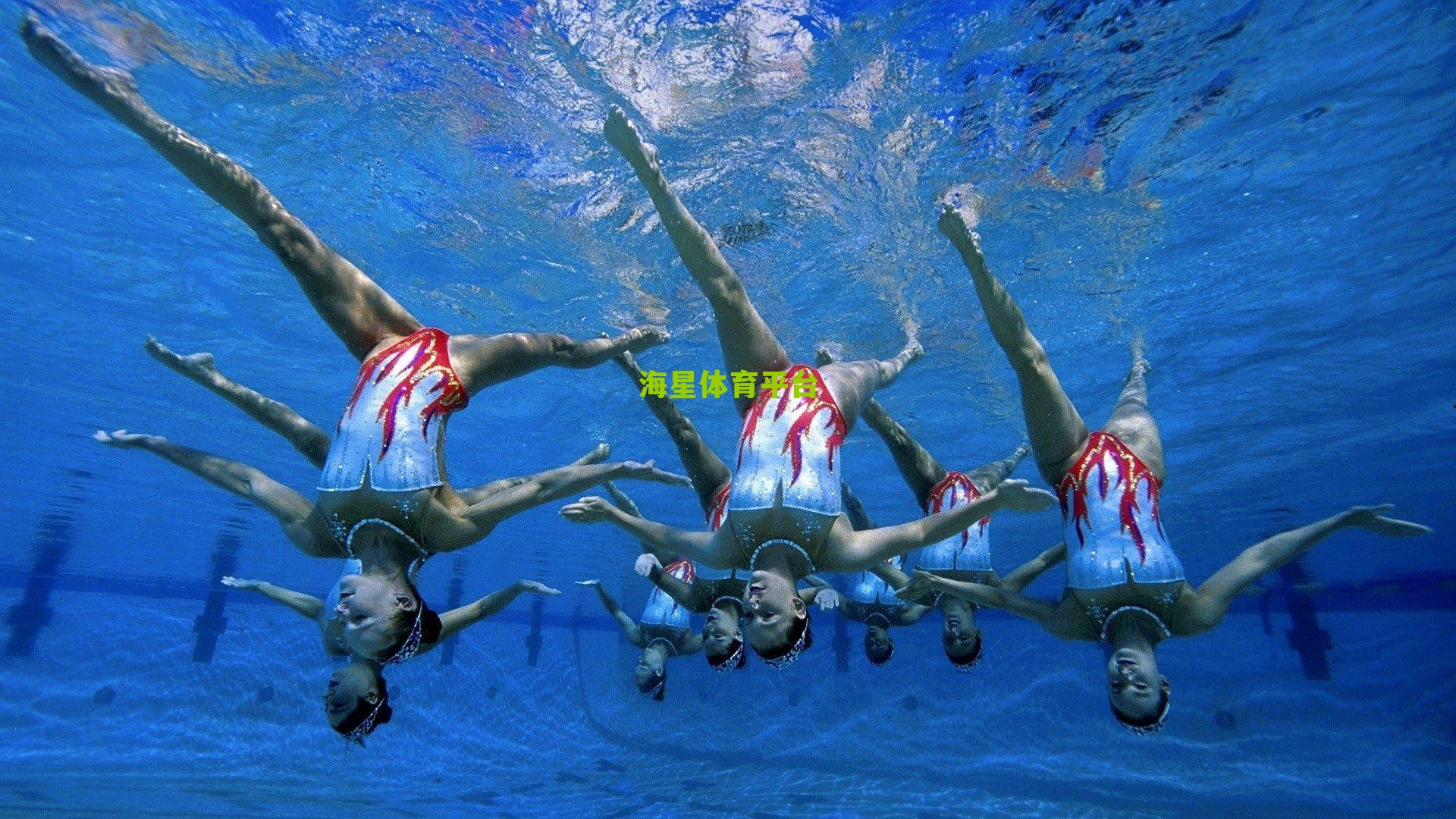 荷乙赛场突发球迷抗议事件，维特斯支持者因牌照吊销冲入场内表达不满